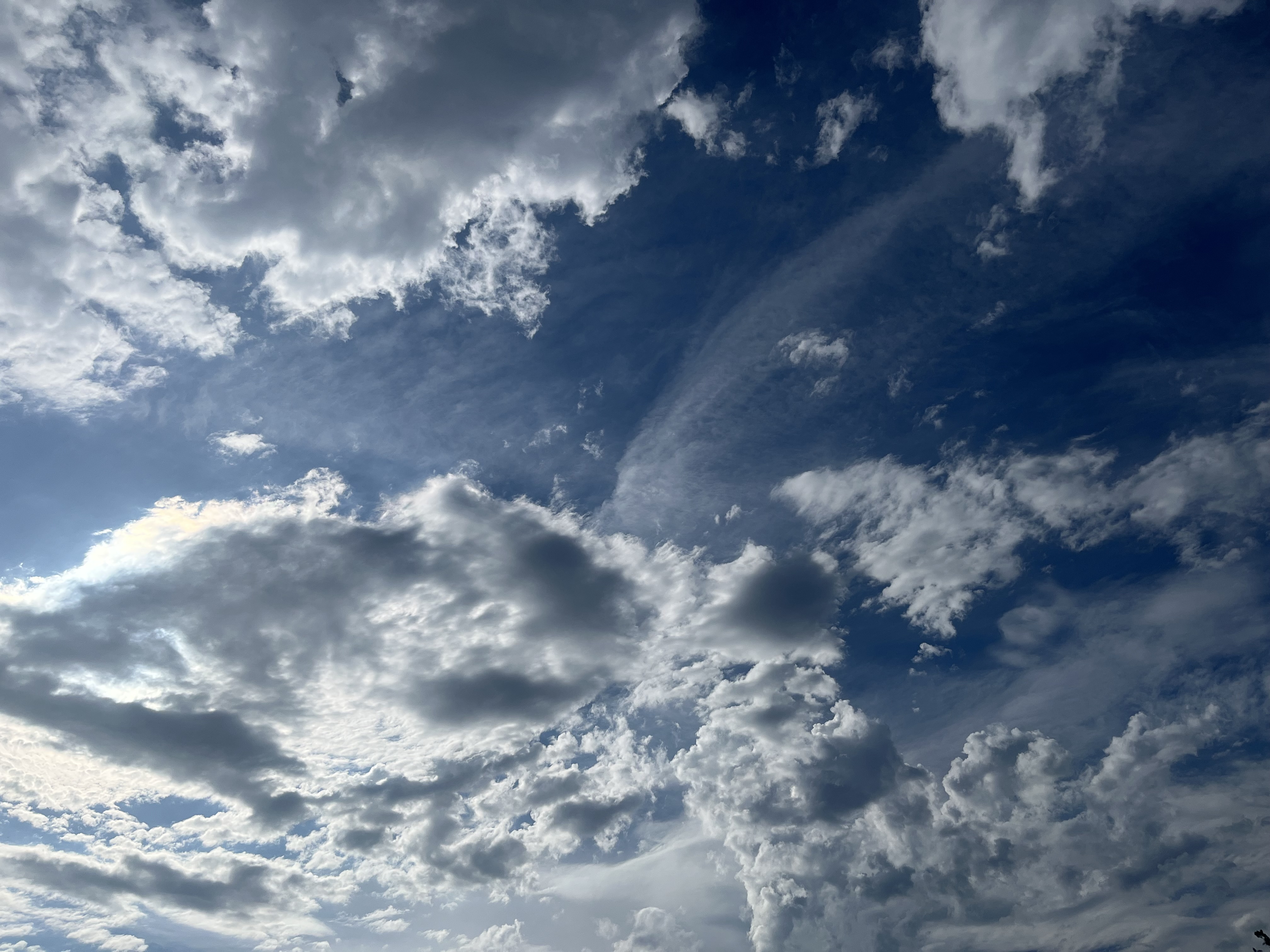 Sky with clouds and sunlight